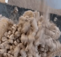 顆粒機(jī)出料粉末